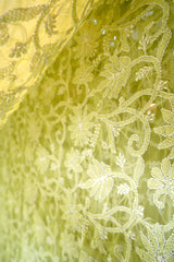 Chikankari Green Viscose Georgette Keel Jaal Saree