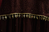 Chikankari-Meher Chocolate Brown Chikankari Mukaish Gharara Set with Dupatta