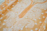 Georgette Chikankari Keel Jaal Stitched Kurti