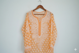 Georgette Chikankari Keel Jaal Stitched Kurti